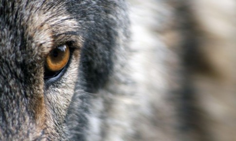 ������� �� ����� ������ ���: ����� �������� ����������� ��������� ������ ����� �� ����������