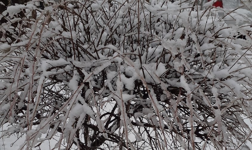 Прогноз погоды в Амурской области на 1 апреля