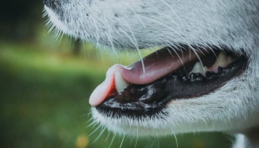 ��������� ���������� ����� �� ���� ������������ ������: ��� ������������ ���������� ��������� ������������ ������