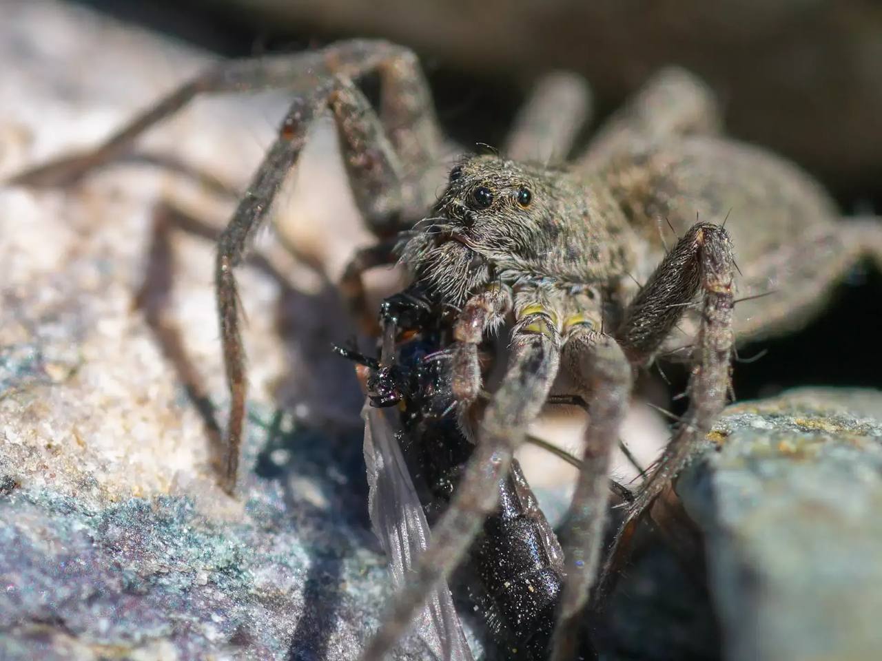 #* Подборка интересных новостей из регионов к этому часу #* Подборка интересных новостей из регионов к этому часу