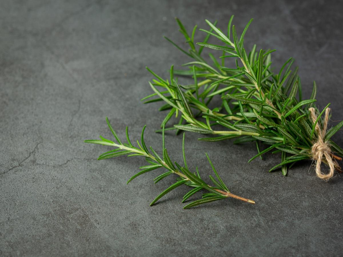 Розмарин: натуральный защитник вашего дома и здоровья