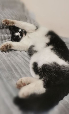 ���������!. �������� ��� �� ��������� @ampravda