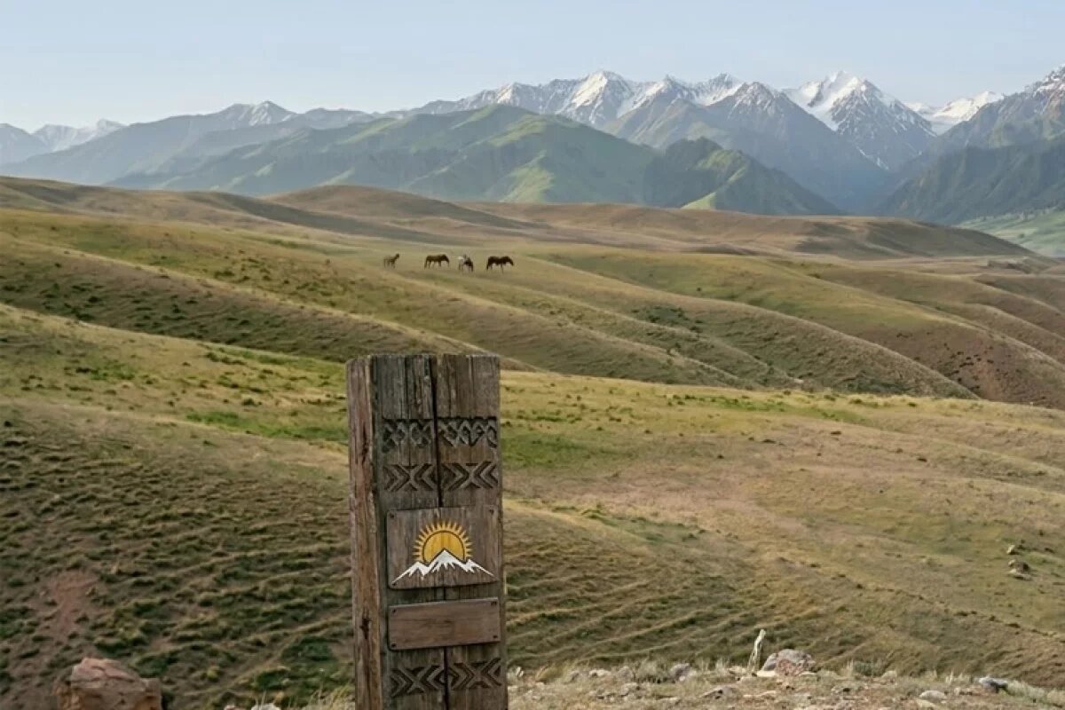 Токаев подписал закон о развитии туризма и детского спорта