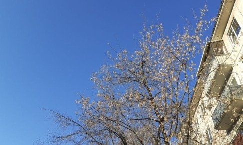 Прогноз погоды в Амурской области на 2 апреля