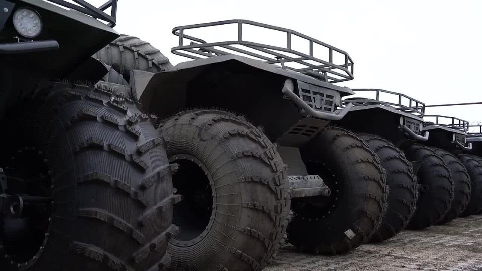 ���� �������: ��������� ������ �������� ��������, �� ������ ��������� ��, ��� ���������� �� ������ � ��������� �� ����������� �����