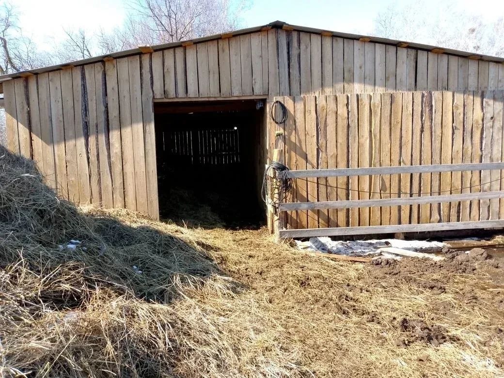 Ветеран СВО развивает молочное направление в регионе Ветеран СВО развивает молочное направление в регионе