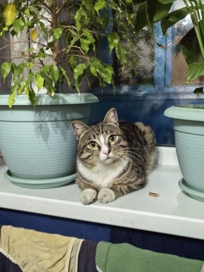 ������ � �������� ��������������� ������ ������