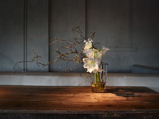 Ваби-саби и гармония комнатных растений: как создать уютный интерьер