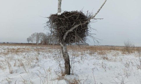 ������ 130 ����� ������ ��������� � ���������� �������� ������� � ������� ����