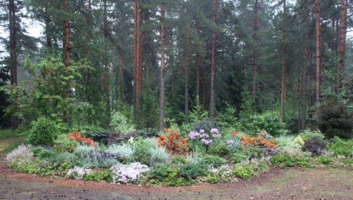 ��� ��������� �������� ��� ������ � �������