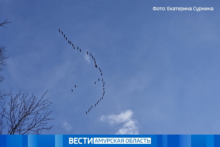 Днём до +8 °С: прогноз погоды на 4 апреля в Приамурье