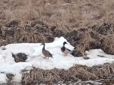 ������� �������� ���� ������� ���������������� � ����������� ������