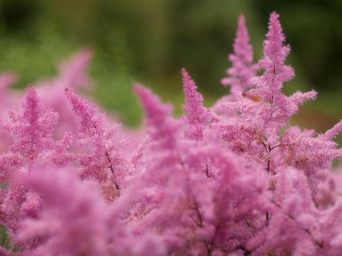 �������� ������: ��� �������� ������ ��� �� ����� �����