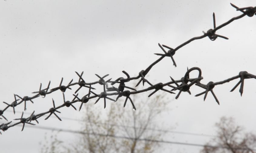 Многодетный амурчанин отправится в колонию строгого режима за пагубную страсть к наркотикам