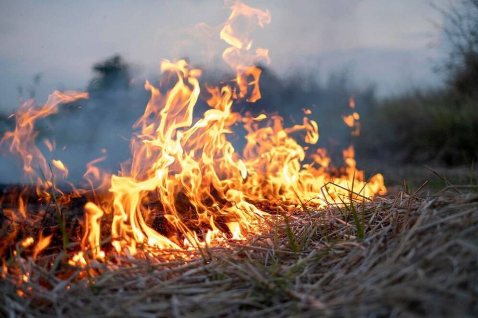 � ������������� ����� ������ ��������������� �����