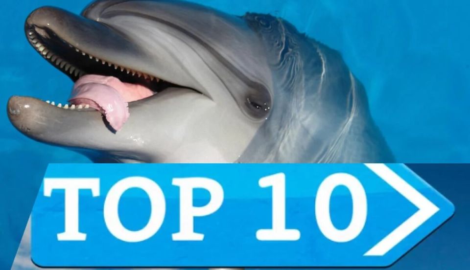 ������������ ��������, ������� �������� ��� ���: ��� ��� ��� ��� ������