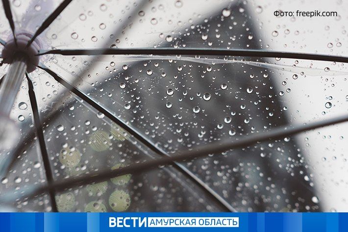 ���� � �����: ������� ������ �� 5 ������ � ���������