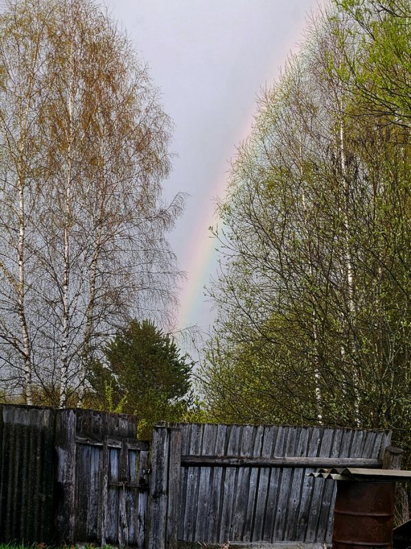 ������� ������� ����� � ������� ����: �� ������ ����� �� �������� ����������