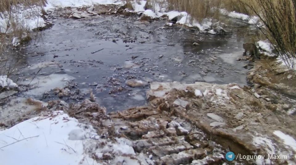 �������� ������ ��� � ������� ���������� ��� ���, �� �� ����������