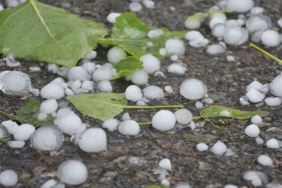 ��� ������������ �������� ����� �����: ������� ������ � ������������ �������