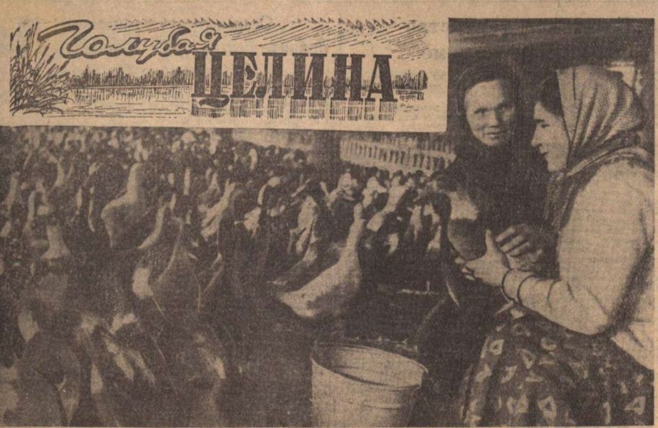 �� ������ ����� ������� ����� � ��������������� ��������� ���� �� ����