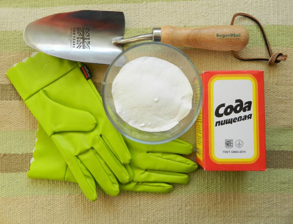 ������� ����: ����������� ������� ��� ��������� �����������