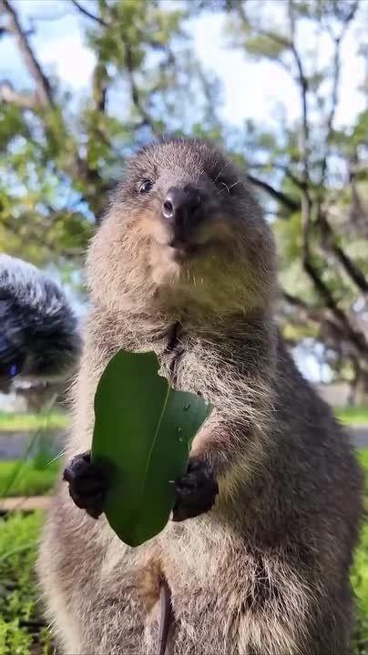 ������ ����! . ������ ���������� � ���, ��� ������� � ����� ������ ����� ����