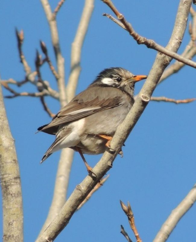 ����� ����... ������� ���������... � � ���� ���������� ������� �� ������ ���������� � �������� ��������� �������