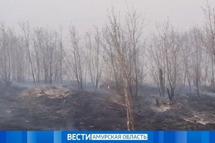 Особый противопожарный режим ввели ещё в 15 муниципалитетах области