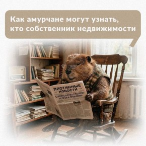 Хотите узнать, кто владеет квартирой этажом выше или кому принадлежит заброшенный участок по соседству?