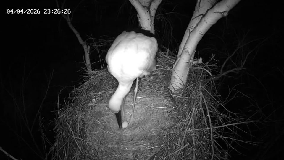 � ��������� � ������ ������ ��������� ������ ����