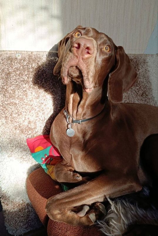 �� ������ �������. ���� �� ��������� @ampravda