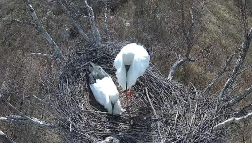 ���� ������ � ������������ ����� ��� ���� ��������� �� ���� ������