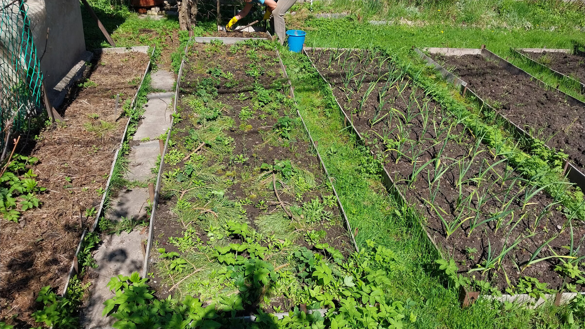 Весна на даче: как справиться с бардаком после зимы?