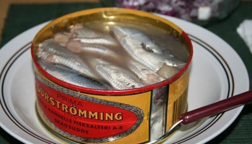 �����������: ��� ��������� ����������� �������� �����������