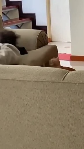 ������ ����! . �� �����!