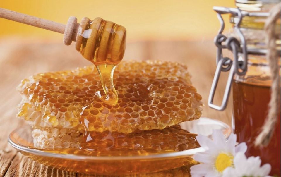 7 ������� �������� �������� ����������� �� �� ��������