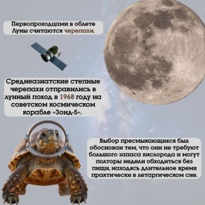 12 ������ ��� ������ ����� ����������� 65-����� ������� ������ �������� � ������