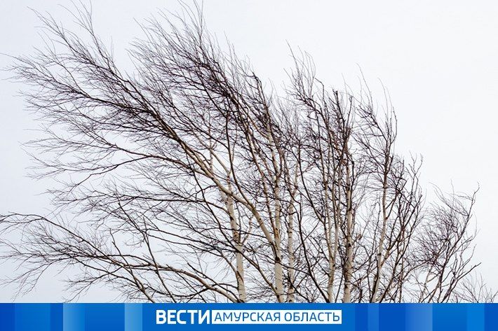 �������� � ������ ������ ���� �������