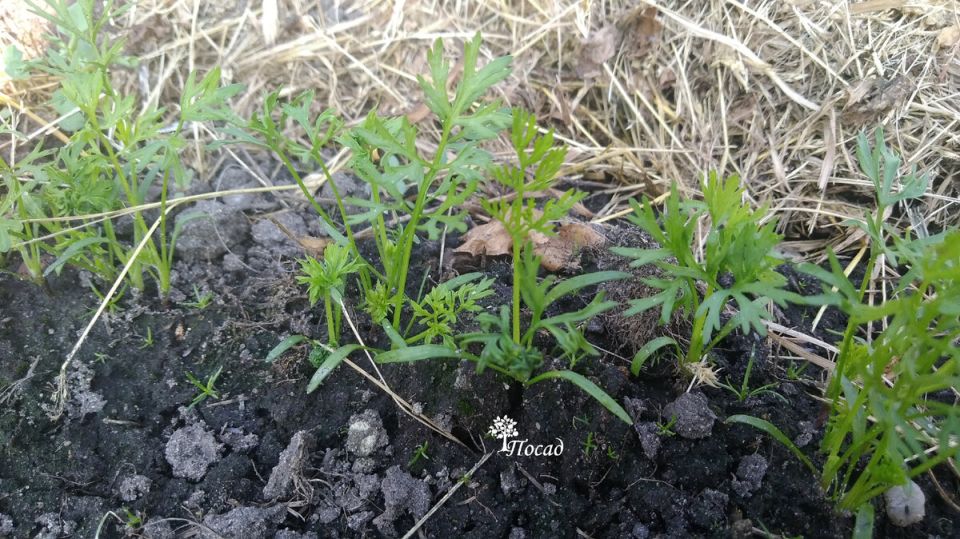 ��� ��������� �� ��������, ����� �� ��������� ������