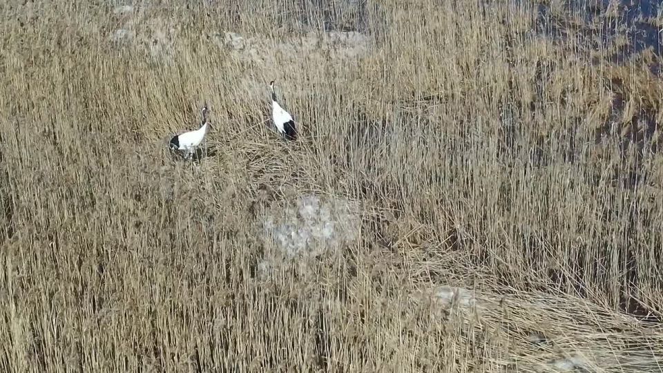 ��������������� ����� � �������� ������� � ������ �������� ������