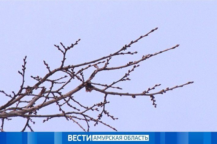 ������� ������ � ��������� �� 7 ������