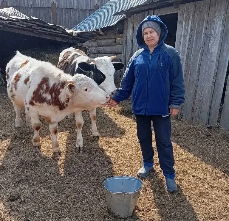 ���� ����� ������� �������: ����������� ���� �� ��������� ���� �������� �����������