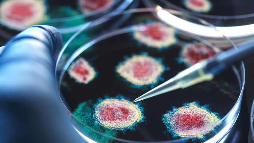 ��� ��������������� ������������� � �������� ������������������ ������ � ������