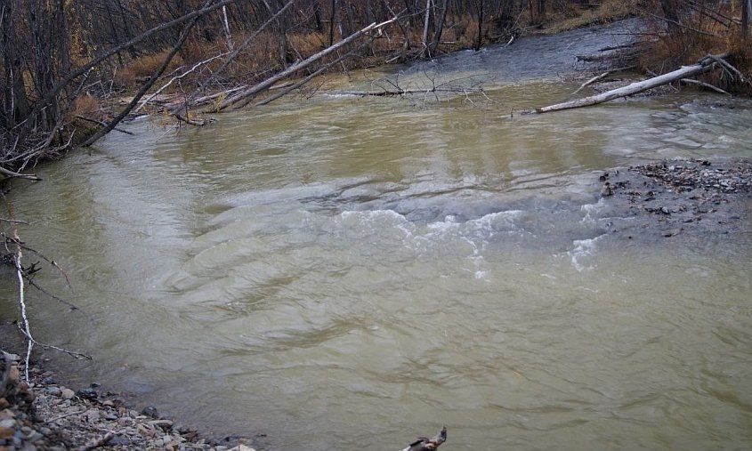 �������������� ��������� 1,6 �������� ������ �� ����������� ���� � �������� �������