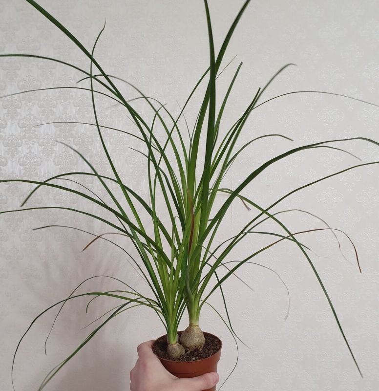 ��� ������� ������������� � ��������� �������� ��� ����: ���� ���������� ��������