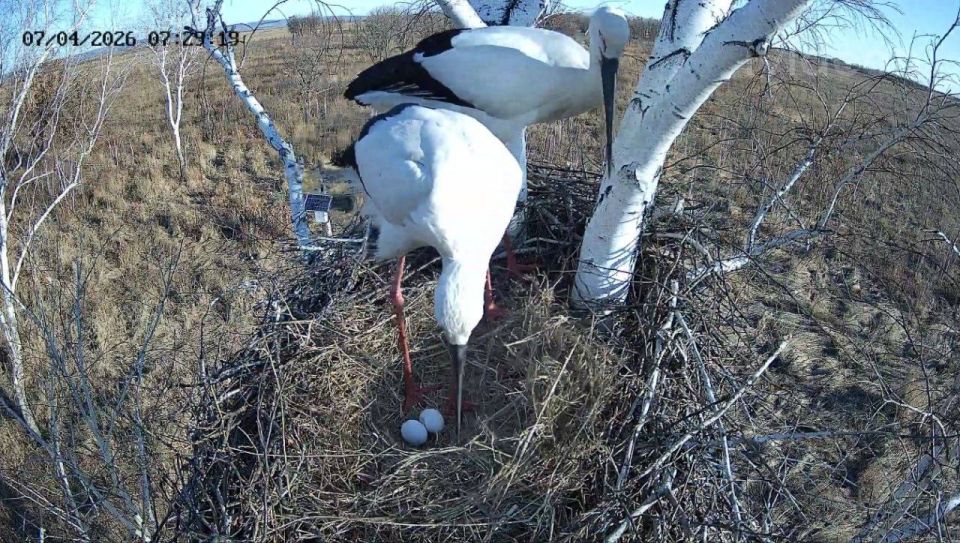 � ����� ����� � ��� ��������� ����� ����