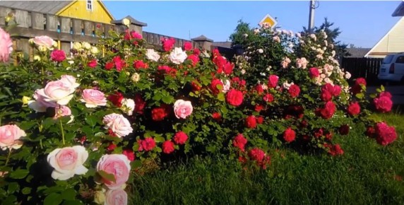 ��� ������� ���������� ���� � �������� ��������: ������ ������ ��� ���������