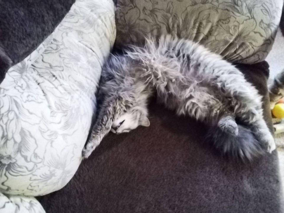 �������� � ������������ �������� �����