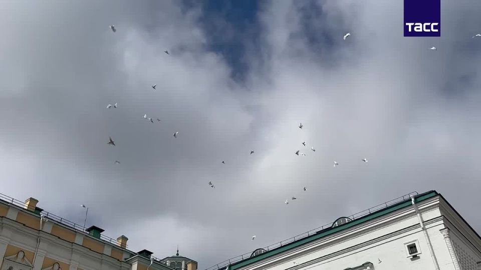 �������� ������ �������� ������ � ����� ������������ ����� ������ � �������������� ������ ������, �������� ������������� ����